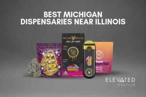 Best Michigan dispensaries near Illinois featuring cannabis products from Elevated Exotics