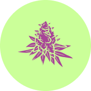 Cannabis Flower icon